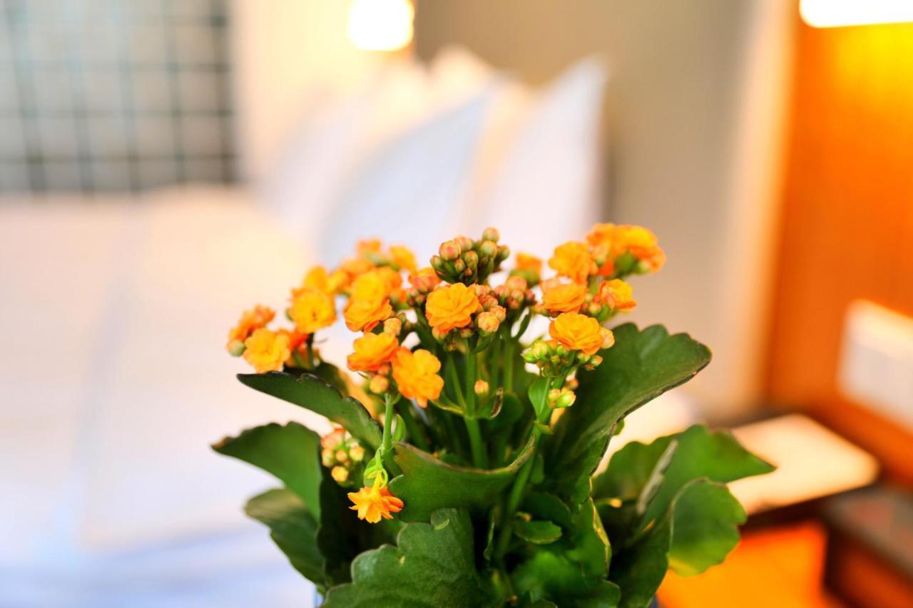 Holiday Inn Express Luoyang Xiyuan Eksteriør bilde